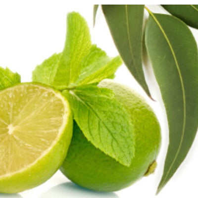 Eucalyptus Spearmint - Goats Milk/Shea Butter Bar Soap