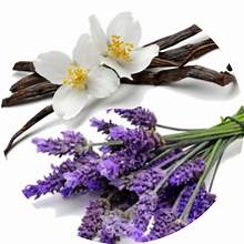 Lavender/Vanilla - Goats Milk/Shea Butter Bar Soap