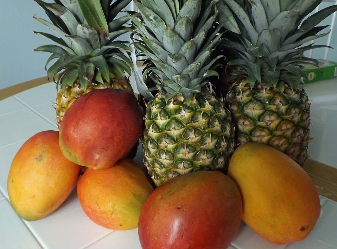 Pineapple Mango - Goats Milk/Shea Butter Bar Soap